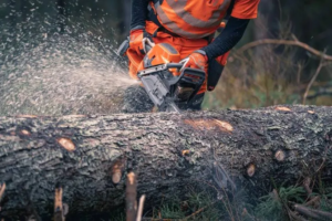 Husqvarna 592XP Chainsaw - Image 11